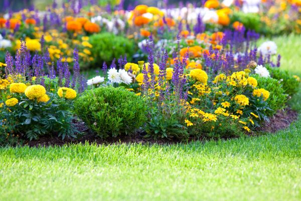 Flower Bed Maintenance in Layton
