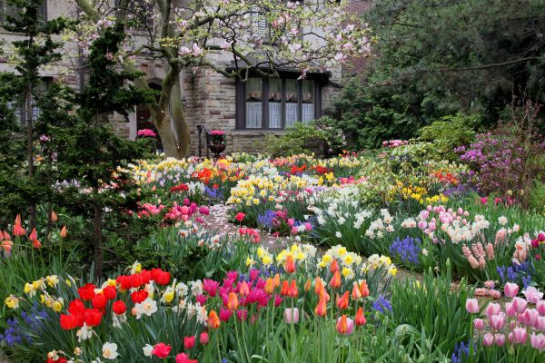 Garden Maintenance Service in Layton