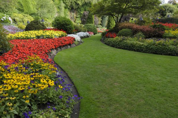 Landscaping Maintenance in Layton