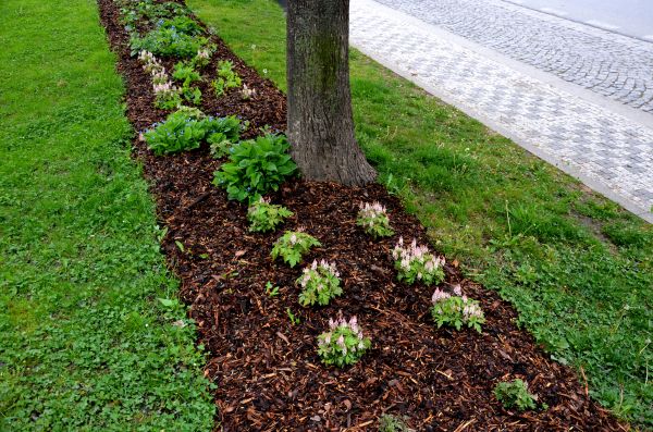 Mulch Replacement Service in Layton