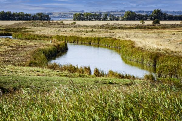 Swale Landscaping in Layton