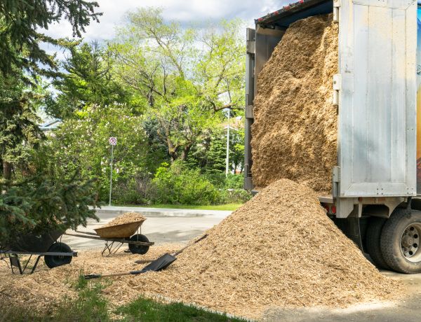 Wood Chips Delivery in Layton