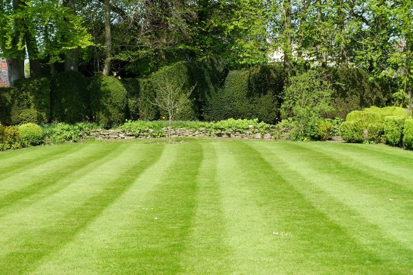 Lawn Renovation in Layton