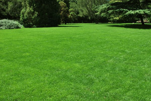 Lawn Landscaping in Layton
