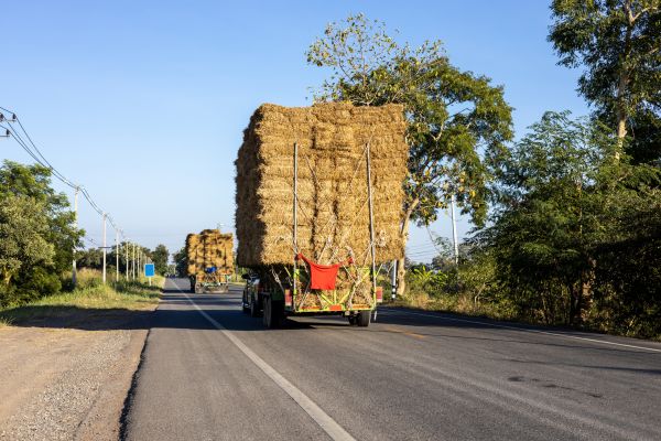 Pine Straw Delivery in Layton