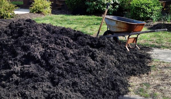 Black Mulch Delivery in Layton