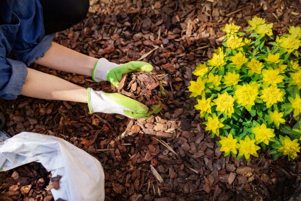 Garden Mulching in Layton