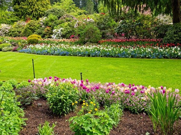 Residential Landscape Design in Layton