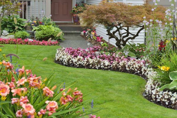 Perennial Landscaping in Layton