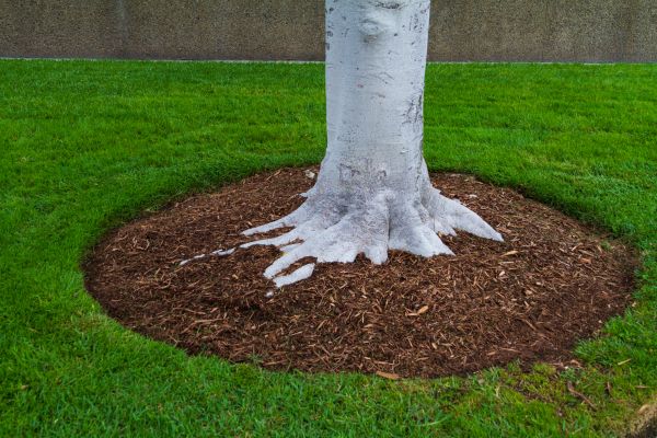 Brown Mulch Installation in Layton