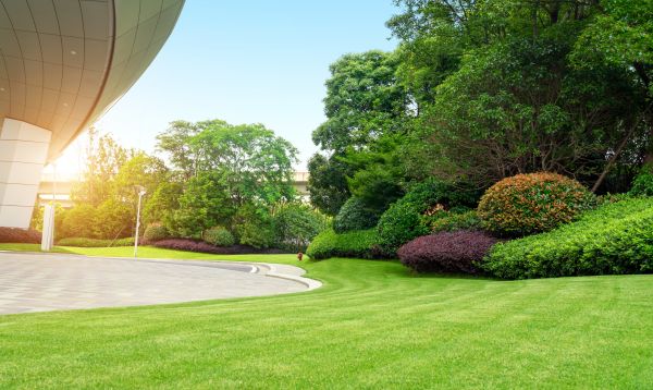 Business Landscape Design in Layton