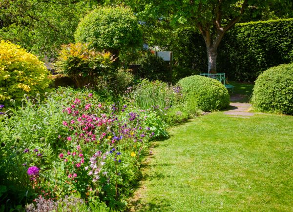 Yard Landscaping Service in Layton