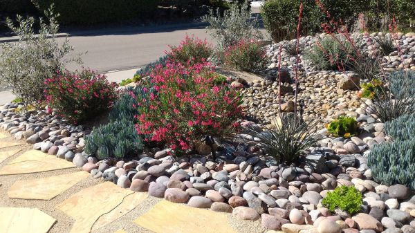 Xeriscape Landscaping in Layton