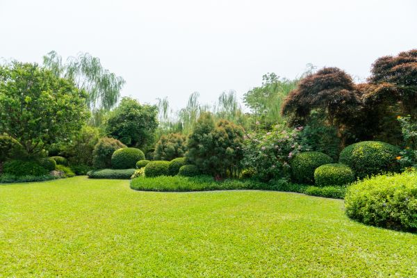 Tree Landscaping in Layton