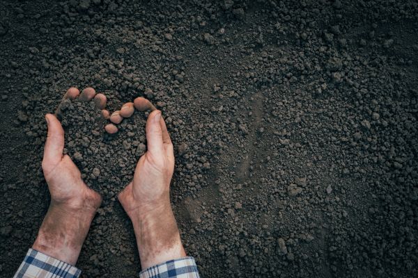 Soil Installation in Layton