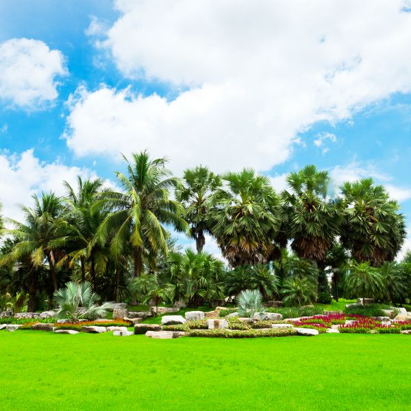 Tropical Landscaping in Layton
