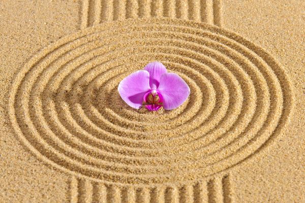 Sand Garden Landscaping in Layton