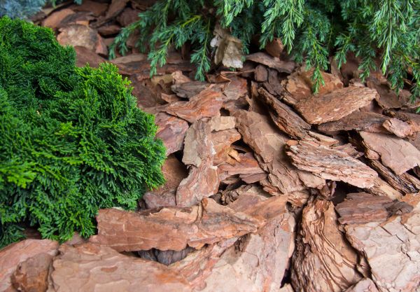 Pine Bark Installation in Layton