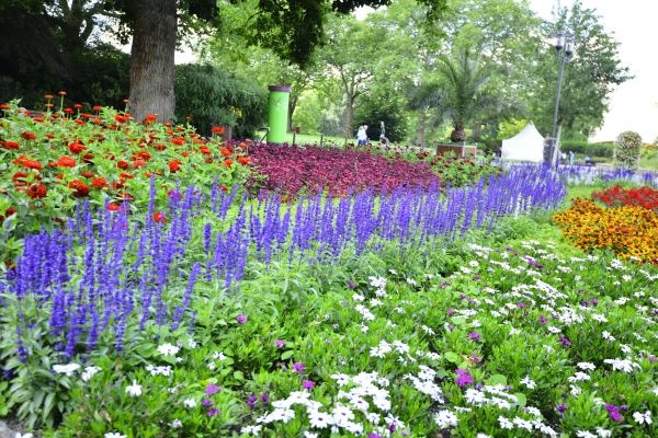 Perennials Planting in Layton