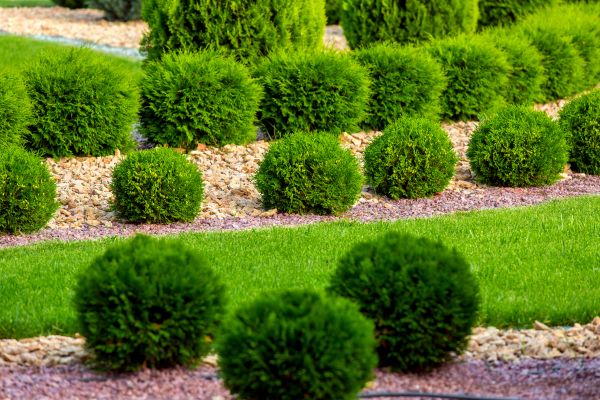 Bush Installation in Layton
