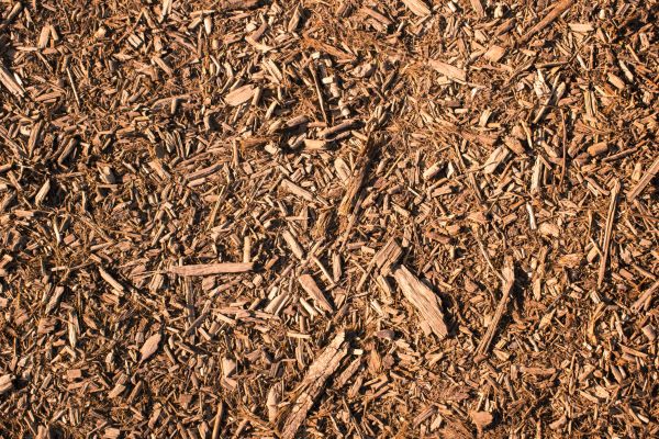 Wood Chips Removal in Layton