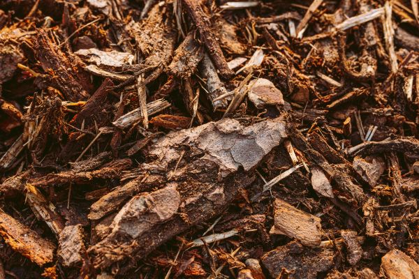 Bark Mulch Delivery in Layton