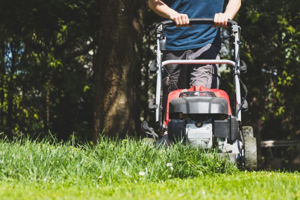 Garden Trimming Service in Layton