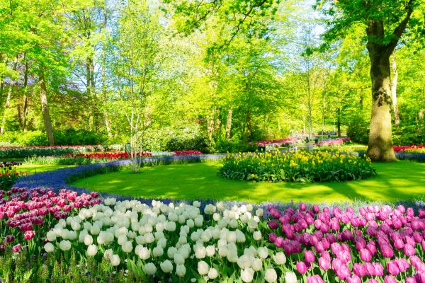 Flower Landscaping in Layton