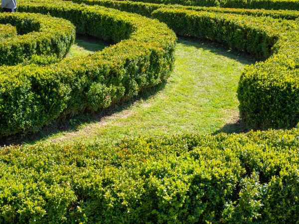 Bush Landscaping in Layton