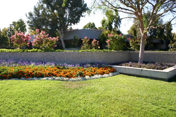Commercial Landscape Service in Layton