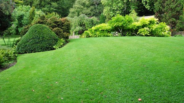 Commercial Landscape Design in Layton