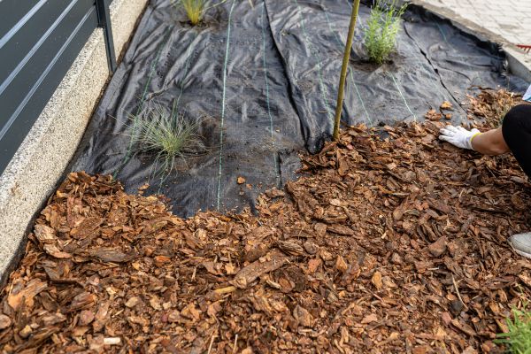 Pine Bark Spreading in Layton