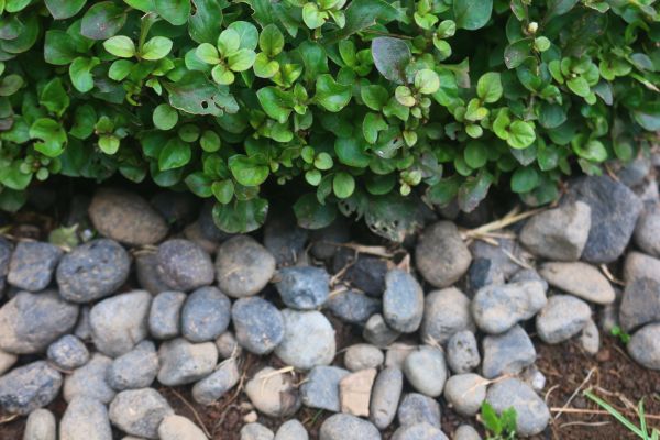 River Stone Installation in Layton