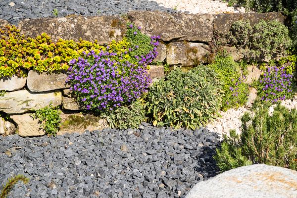 Landscaping Rocks Installation in Layton