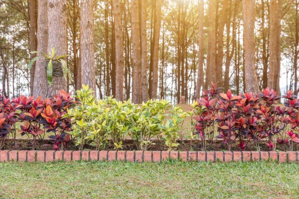 Small Garden Landscaping in Layton