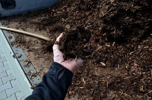 Condo Mulching in Layton