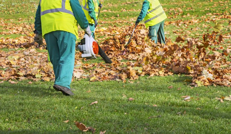 Leaf Blowing Strategies