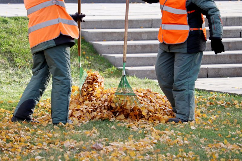 Fall Leaf Removal at Work