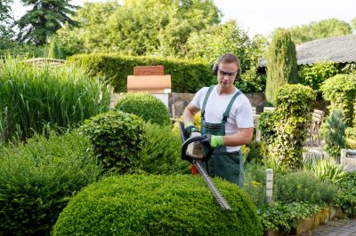 Tree and Shrub Care Professionals